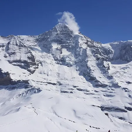 Gletscherfloh Hébergement de vacances Grindelwald