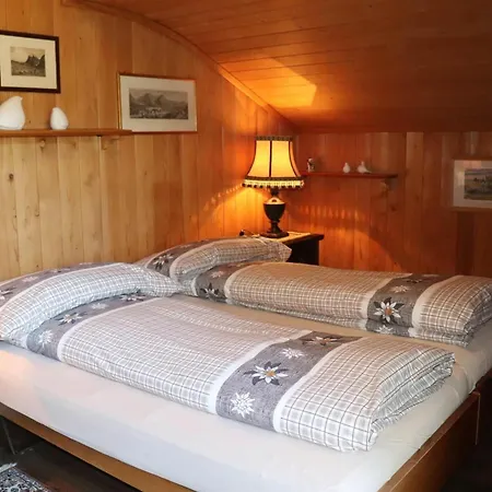 Gletscherfloh Grindelwald
