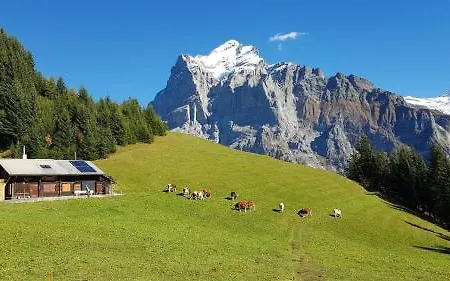 Gletscherfloh Hébergement de vacances