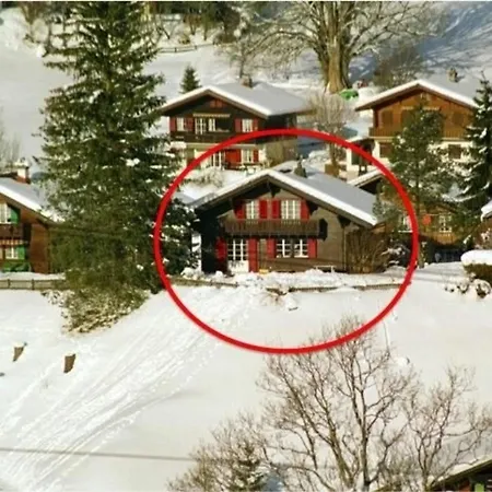 Gemuetliches Zum Alleinbewohnen Mit Garten & Bergblick, Kostenloses Wifi, Ladestation Fuer E-autos Holiday home Grindelwald